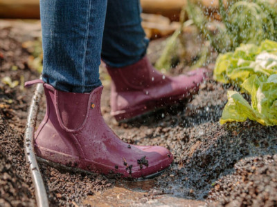 Extra 30% off Sale @ BOGS