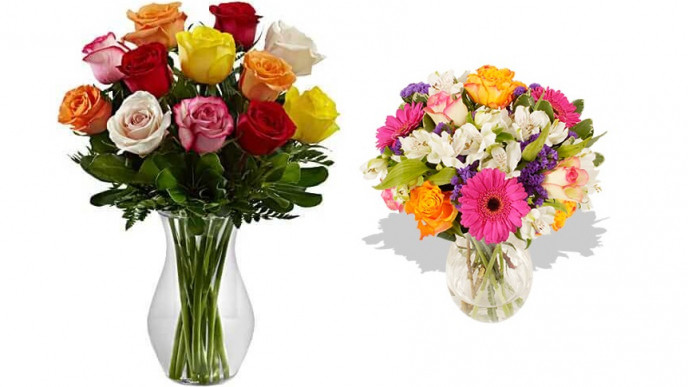 Mother's Day Gifts From $9.95 Shipped @ Canaflora
