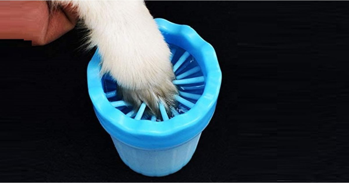 Dog Paw Washer 15.99 Amazon Canada Store hgbjhgkj