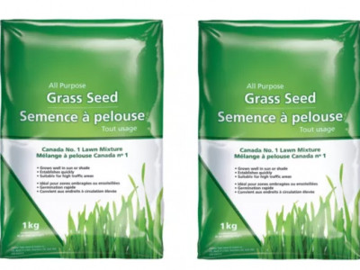 All-Purpose Grass Seed $5.99 @ Canadian Tire