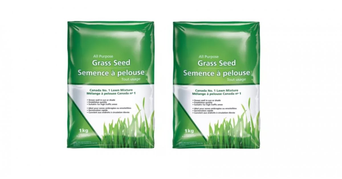 best place to buy grass seed canada
