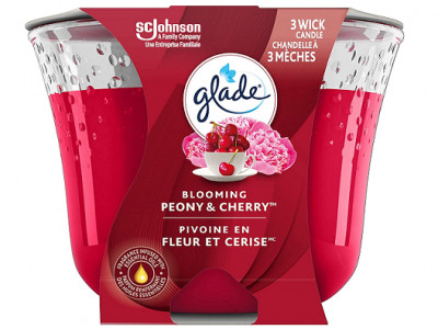 Glade Large Jar Candle From $4.02