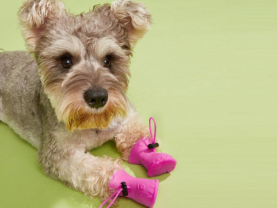 Doggy Rain Boots From $4 @ Shein