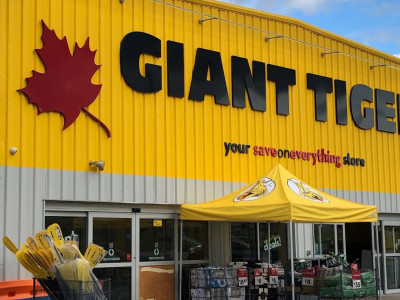 Giant Tiger Unadvertised Flyer Items