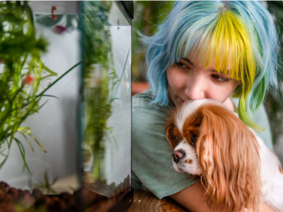 PetSmart Canada: Earn 10X Points