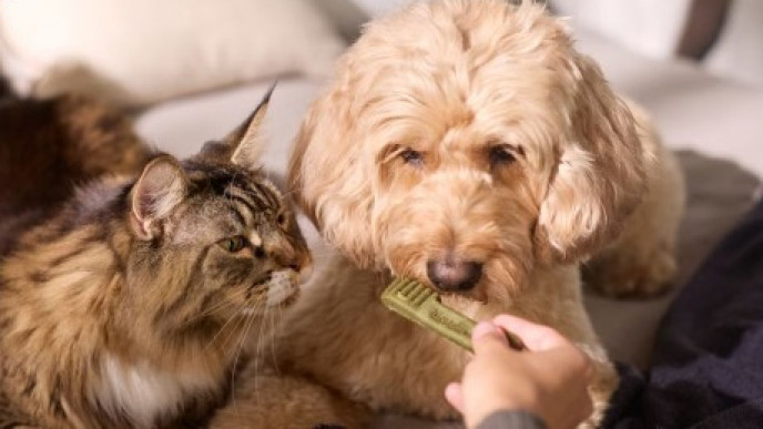 Chewy Canada: 20% to 40% Off