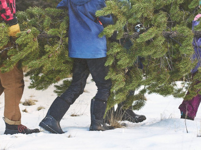 Bogs: 25% Off Black Friday Sale