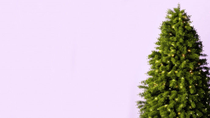 Wayfair Canada Black Friday Sale: Up to 80% Off and Free Shipping