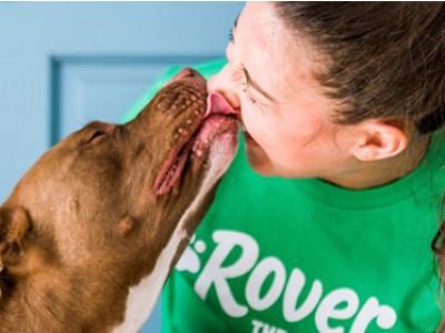 Rover $30 Discount & Aeroplan Points