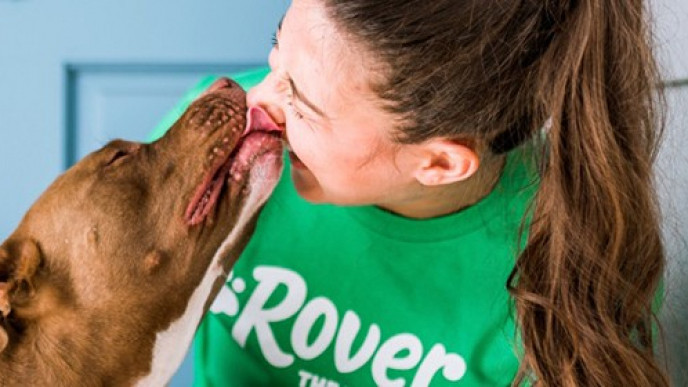 Rover $30 Discount & Aeroplan Points