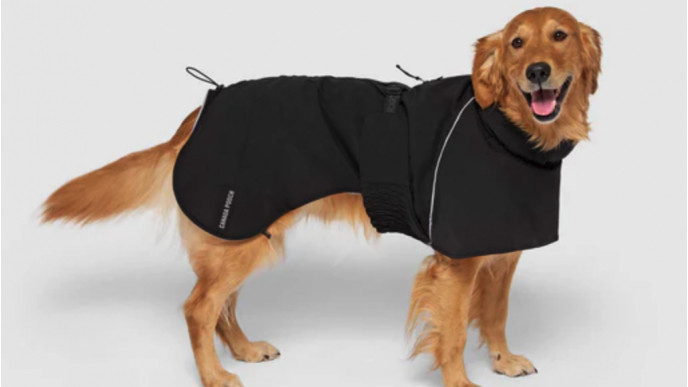 Canada Pooch Sale: Up To 35% Off Pet Apparel