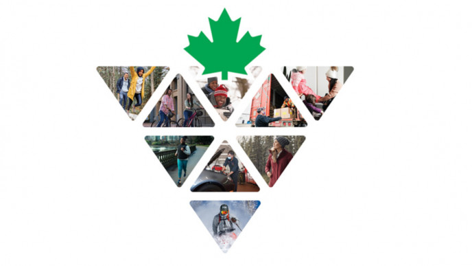 Canadian Tire Delivery Guide