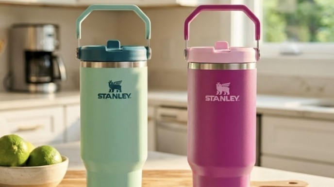 STANLEY IceFlow 2.0 Flip Straw Tumbler 30 oz Now $27.60 (Reg. $46)
