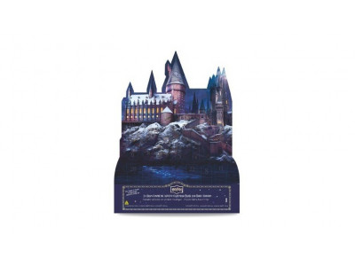 Harry Potter Advent Calendar $49.98