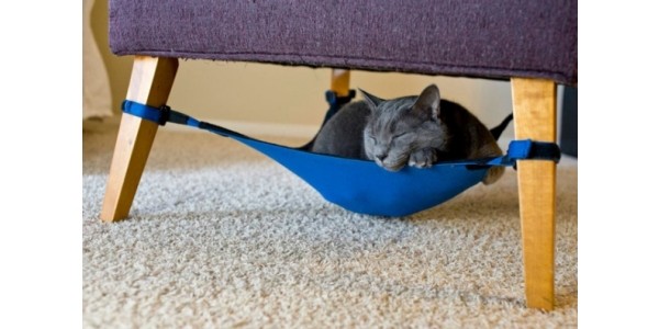 Cat Chair Hammock (OMG?!) Just $22 + Free Shipping @ Amazon.ca