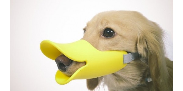 Duck Muzzle For Dogs From $4 + Free Shipping @ Amazon.ca