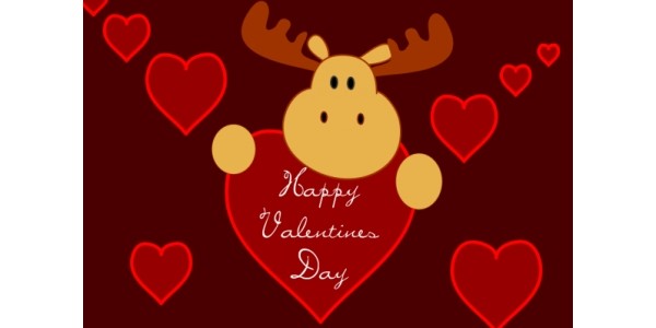 Valentine's Day Coupon Code Roundup!!
