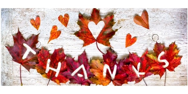 Thanksgiving Weekend Coupon Codes: Part 2!