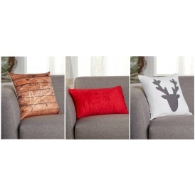Decorative Pillows Now Only $10