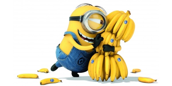 Minions Blu-Ray, DVD & Digital HD Now $13 @ Amazon.ca