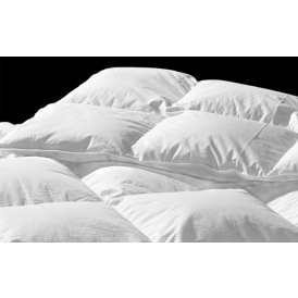 320 TC Down & Feather Duvet $50 @ Sears