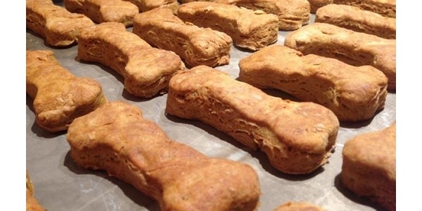DIY: Four Ingredient Peanut Butter Dog Treats
