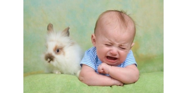 Easter Bunny Photos Gone Wrong!