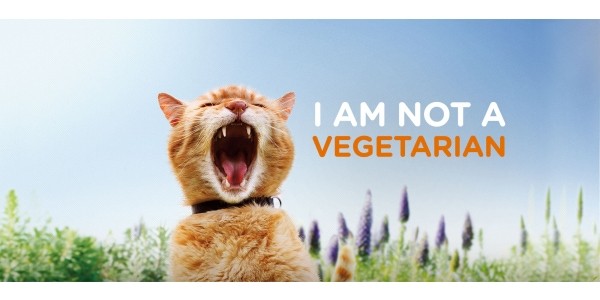 Iams Cat Food on Clearance From $3 @ Walmart.ca