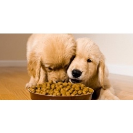 $25 Off $75 @ PetSmart.ca