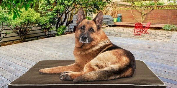 Indoor-Outdoor Orthopedic Pet Bed From $24.99 @ Groupon.com