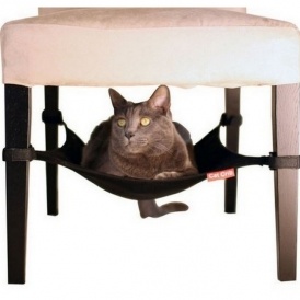 $20 eGift Card W/$100 Purchase @ Petland