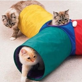 Cat Tunnel - $10 @ Amazon.ca