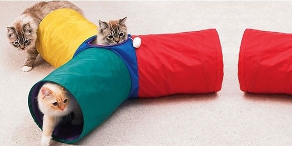 3 Way Fun Run Cat Tunnel Toy Now $10 (80% Off) @ Amazon.ca