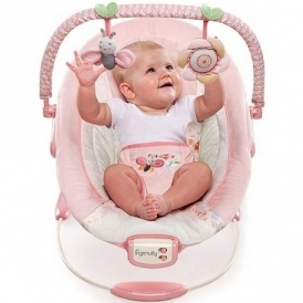 Ingenuity Bouncers/Swings From $32.47