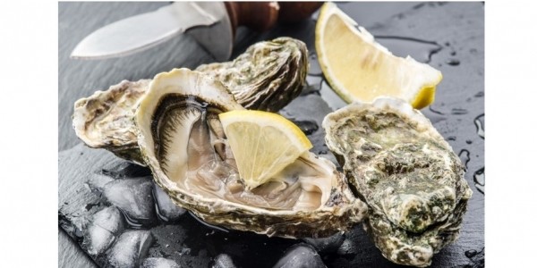 RECALL! Five Star Shellfish Inc. Brand Oysters Due To Salmonella