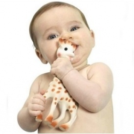 Sophie The Giraffe Now $19