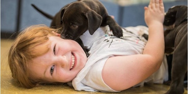 Get 20% Off Petsmart Gift Cards @ Rexall
