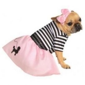 Dog Costumes from $5.73