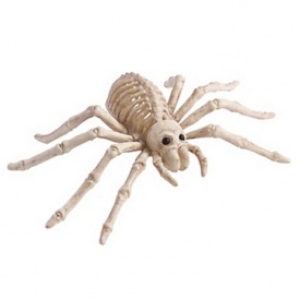 Halloween Décor from $1.29 @ Party City