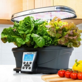 Miracle-Gro AeroGarden Kit $219.95