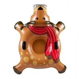 Outdoor Winter Toys from $5