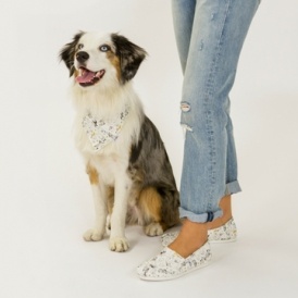 20% off Year of the Dog Classics @ Toms