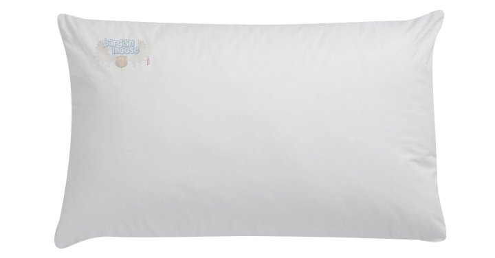 Hudson s Bay Canada: BOGO Free Pillows