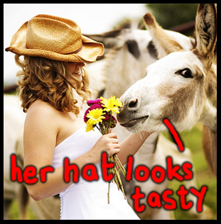1800Flowers Canada Coupon Code