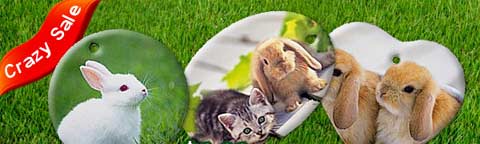 personalized photo ornaments @ Artscow