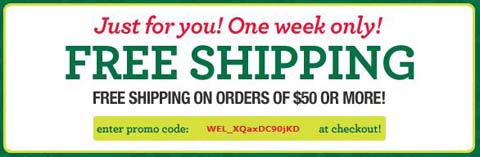 Aeropostale Free Shipping On Purchase Of $50 Or More