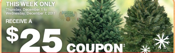 Home Depot Canada: Buy A Christmas Tree & Get $25 To Spend In January