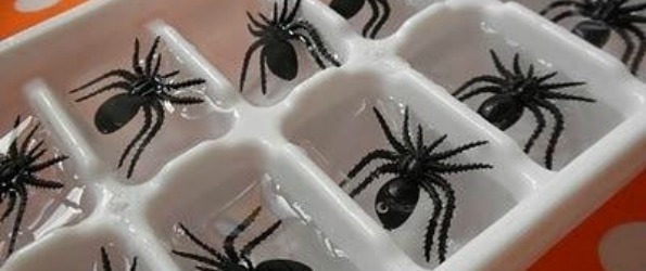35366-Spider-Ice-Cubes