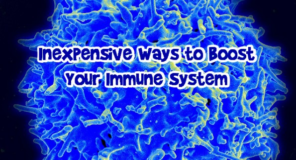 Boost Immune