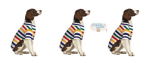 The bay deals dog sweater
